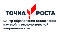 изображение точка роста